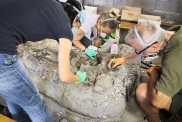 Nel fine settimana c’è il “Cantiere aperto” al Castello Banfi