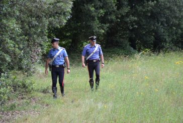 Gaiole: uno strano picnic deserto. Un uomo chiama i Carabinieri