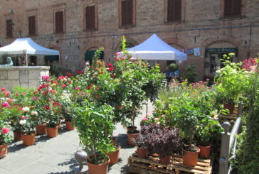 Casole Fiorita in Autunno: si celebrano così le Giornate Bandiere Arancioni