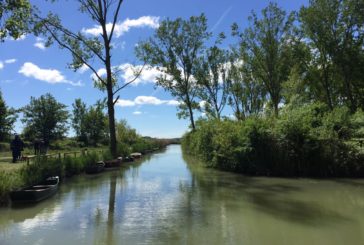Lago di Montepulciano: un incontro per valorizzare la Riserva Naturale