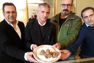 La Mostra del tartufo delle Crete ai nastri di partenza