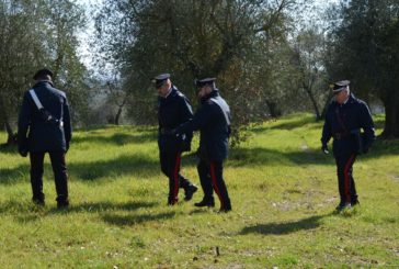 Boscaiolo straniero clandestino arrestato dai Carabinieri
