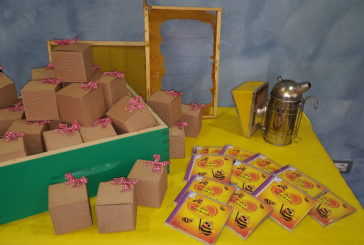 L’Ape Operaia festeggia i primi successi