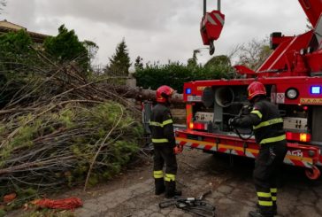 Maltempo a Siena: il bilancio degli interventi dei Vigili del Fuoco