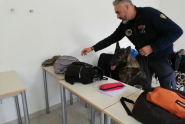 Polizia nelle scuole: studente trovato con la droga in classe