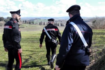 Aziena agricola di Sinalunga multata dai Carabinieri