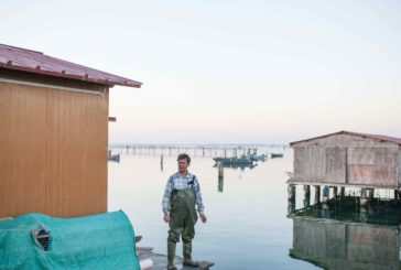 Con “Mare Corto” Visionaria racconta l’Adriatico il “mare minore”