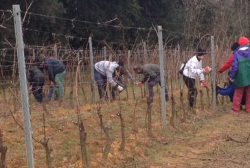 L’offerta formativa del “Ricasoli” negli open day