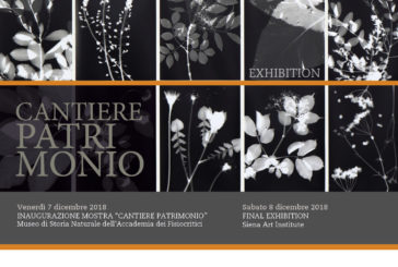 Arte, artigianato, design: la mostra Cantiere Patrimonio rilegge Siena