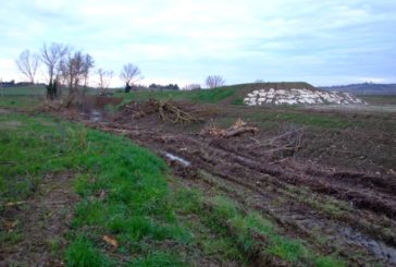 “Le sponde dei fiumi senesi non devono diventare un deserto”