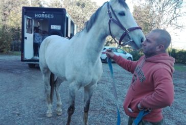 A lezione di cavalli da Palio alI’Istituto “B. Ricasoli”