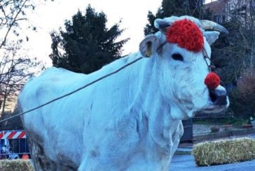 Torna l’antica fiera di Sant’Antonio a Torrita di Siena