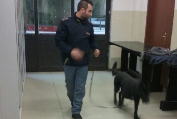 Controlli antidroga alla stazione: 21enne denunciato dalla Polizia