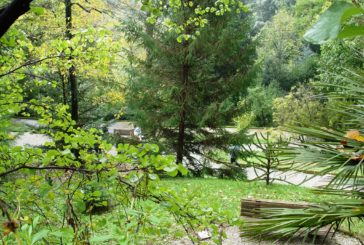 Riaperto l’Orto Botanico dell’Università di Siena