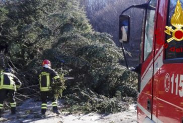 Vento forte: numerosi gli interventi dei Vigili del fuoco