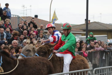 Presentato il Palio dei Somari di Torrita