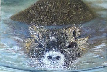 “Intrecci”: mostra personale di Paola Mian