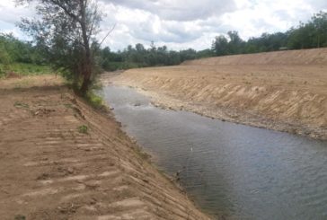 Il taglio della vegetazione sulle sponde del Merse e dell’Arbia è autorizzato?