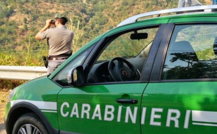 Tutela dell’ambiente: un protocollo per la sinergia con i Carabinieri Forestali