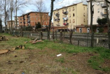 Via Mascagni e non solo. Sicurezza e pianificazione per gli alberi del territorio