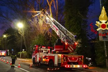 Traffico in tilt in viale Sclavo per piante pericolanti