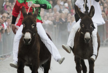 Porta Nova vince il Palio dei Somari