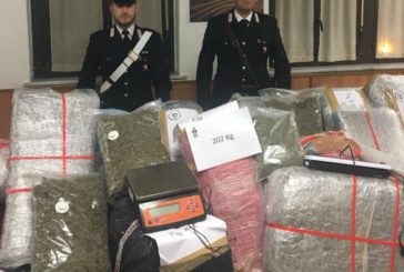 Quattro arresti dei Carabinieri per spaccio di droga