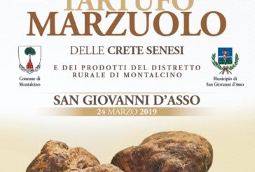 San Giovanni d’Asso celebra il tartufo Marzuolo