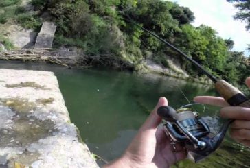 Gara provinciale di pesca alla trota a Buonconvento