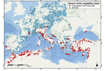 Unisi implementa il database ecoinformatico delle pinete