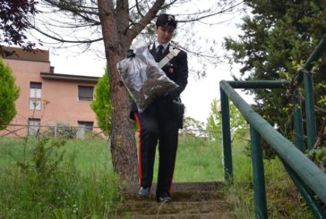 Manager di giorno, spacciatore di sera: arrestato dai Carabinieri