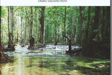Piccole gocce del grande fiume della vita: 12 racconti brevi di Fabio Brogi