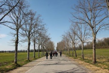 Il parcheggio pieno, il viale vuoto a San Galgano