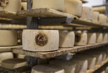Pecorino Toscano DOP: vola l’export, sensibile flessione in Italia