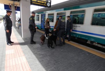 La Guardia di Finanza intensifica i controlli antidroga
