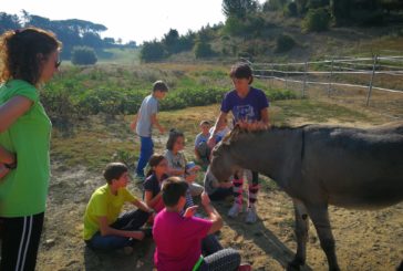 L’estate sta arrivando. Ecco i campi estivi de Le Bollicine