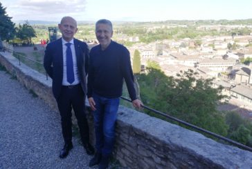 Ciuoffo a Colle di Val d’Elsa per Donati