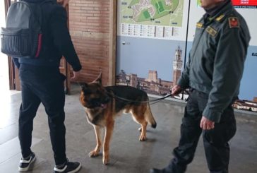 Antidroga: la Guardia di Finanza intensifica i controlli