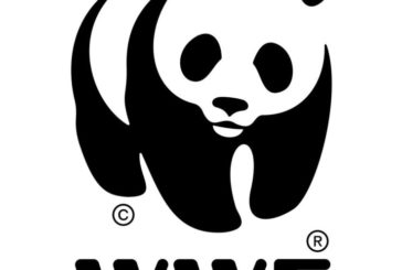 Wwf: “Ancora rifiuti abbandonati sulla Montagnola”