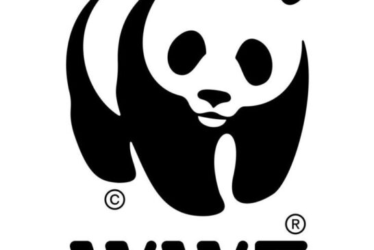 WWF: “Piano faunistico venatorio migliorato ma non basta”
