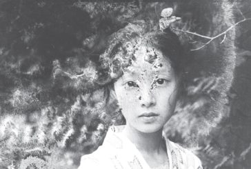 Effetto Araki: Siena celebra il fotografo giapponese con 2200 immagini