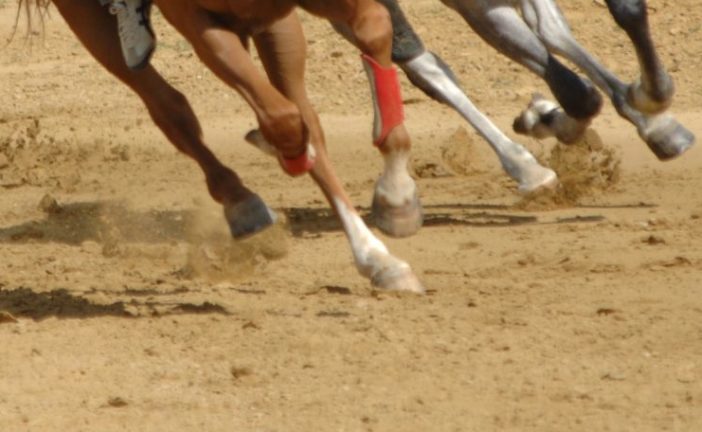 Protocollo Equino: annullati i lavori a Monticiano