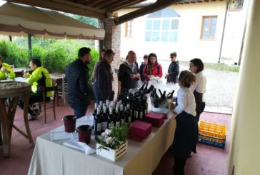 Enoturismo: oltre 20mila wine lovers per Cantine Aperte in Toscana