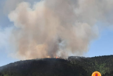 Incendio boschivo a San Lorenzo a Merse