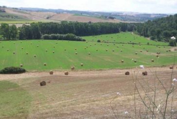 Bugli: “Suvignano sarà un luogo vivo, fatto di idee, incontri, produzione”