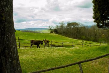 “Donne per il sociale”: Suvignano apre le porte alla solidarietà