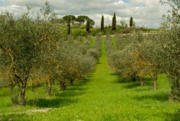 A Suvignano il primo campo di lavoro sulla legalità