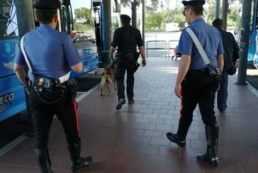 Controlli antidroga dei Carabinieri a Montepulciano