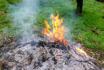 Anticipato il divieto di abbruciamenti agricoli: scatta da lunedì 24 giugno