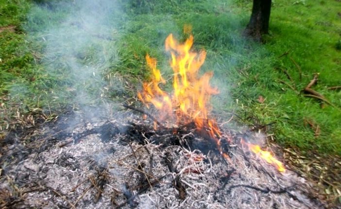 Rischio incendi: prorogato fino al 13 settembre il divieto di abbruciamento